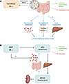 Bidirectional interactions between the gut microbiome and commonly used imm