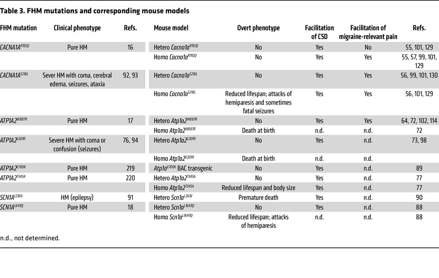 FHM mutations and corresponding mouse models