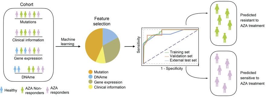 graphical abstract