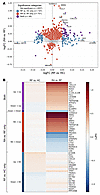 Comparative proteomics profiling of asymptomatic RF production and RF+ RA.