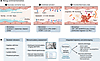Biomarkers and integrated bedside assessment for sepsis-associated endothel