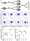 Adoptive transfer of lymphocytes from Galnt14–/– mice demonstrates a defici