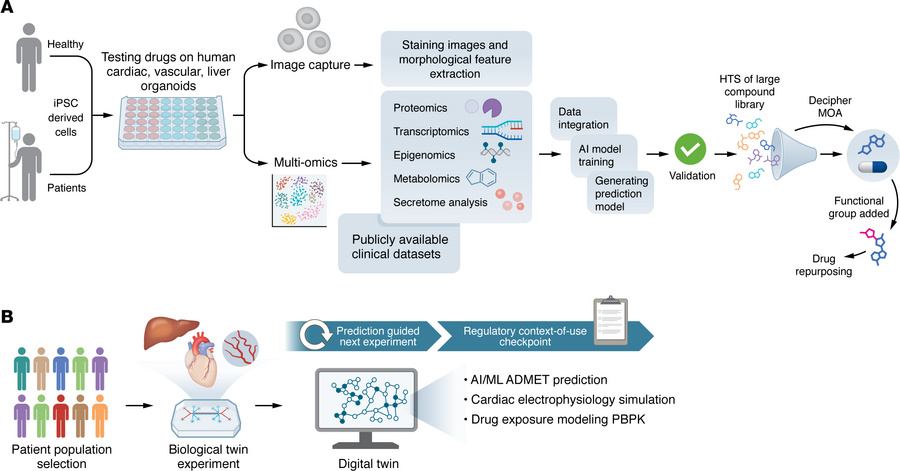 Integrated biological and digital twin framework for cardiometabolic dru...