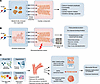 Detecting cardiotoxicity, proarrhythmia risk, and microvascular dysfunction