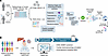 Integrated biological and digital twin framework for cardiometabolic drug s
