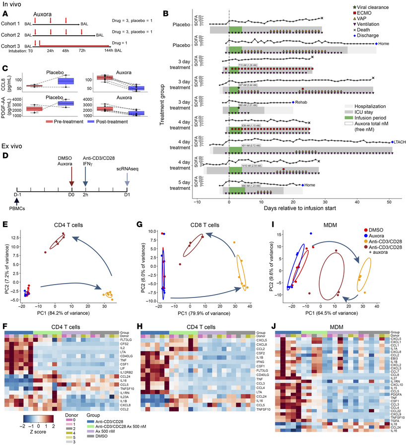 Auxora targets T cells to inhibit T cell–macrophage circuits during SARS...