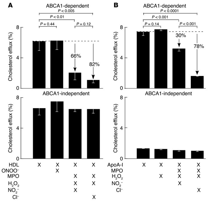 MPO-generated reactive nitrogen species inhibit ABCA1-dependent choleste...