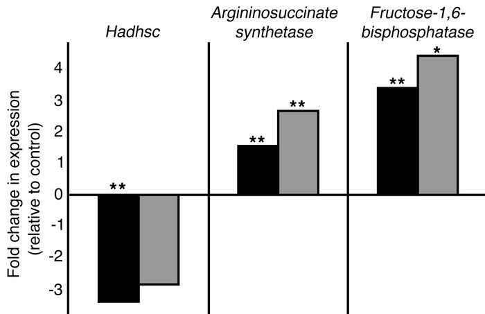 Gene expression changes discovered by microarray analysis are confirmed ...