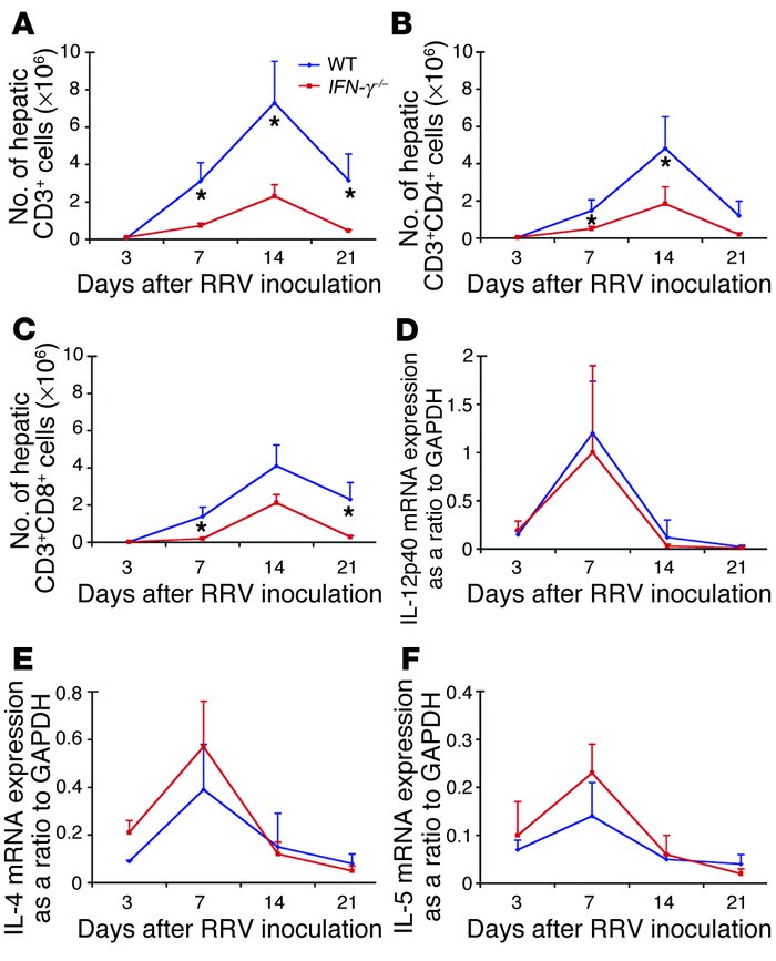 Hepatic population of T lymphocytes and cytokine expression in IFN-γ–/– ...