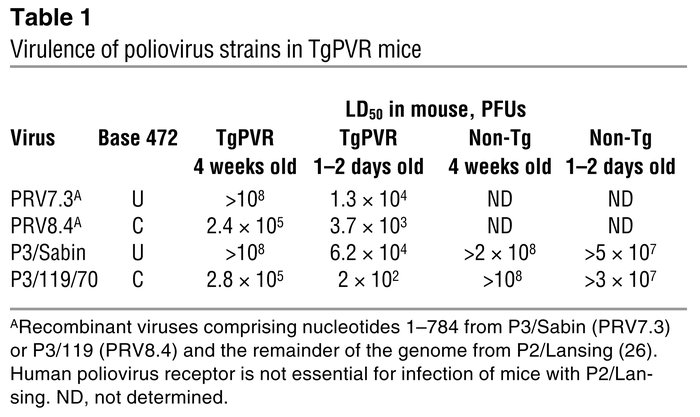 Virulence of poliovirus strains in TgPVR mice