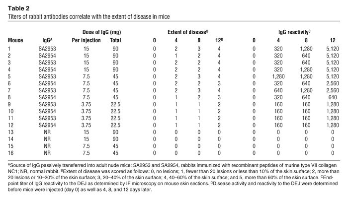 Titers of rabbit antibodies correlate with the extent of disease in mice