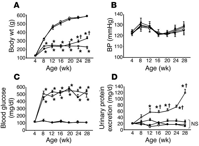 Metabolic changes and urinary protein excretion in C rats (open circles,...