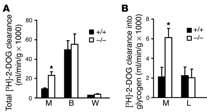 Clearance of the glucose analogue [3H]-2-DOG into glucose-6-phospate (A)...