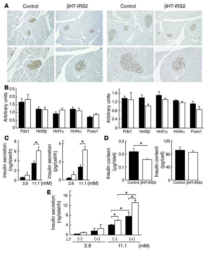 Normal expression of Pdx1, normal insulin contents and increased insulin...