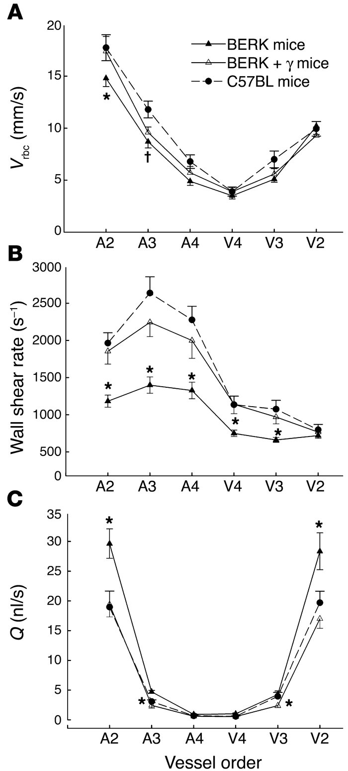 Arteriovenous Vrbc (A), wall shear rate (B), and Q (C) profiles in the r...