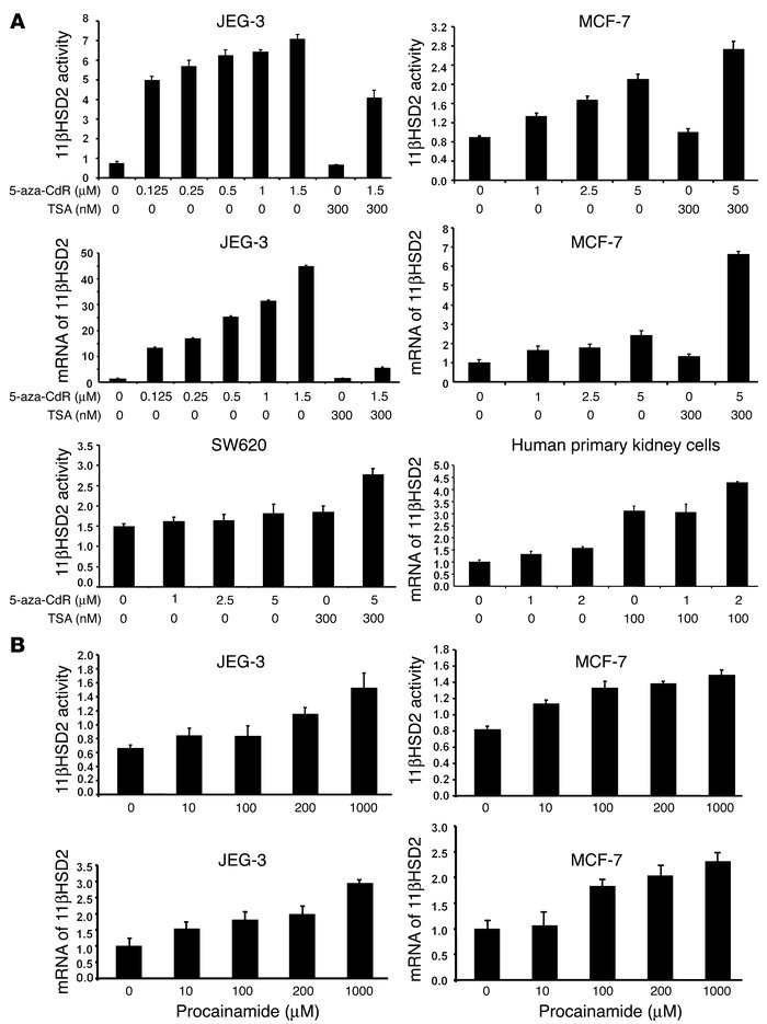 The effect of 5-aza-CdR, TSA, or procainamide on the activity and mRNA o...