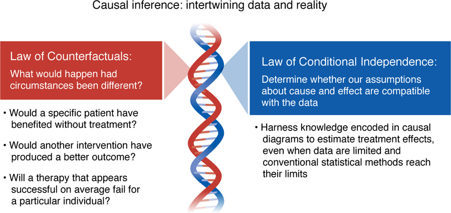Causal inference: the double helix for personalized medicine in rare dis...