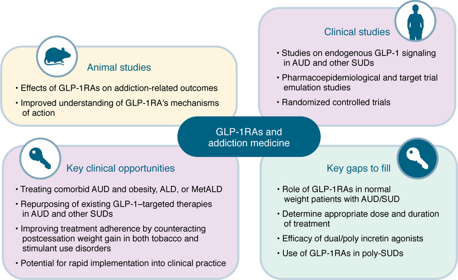 The emerging translational landscape of GLP-1–targeted therapies in AUD ...