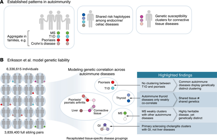 Genetic patterns underlying autoimmune diseases.
(A) Established pattern...