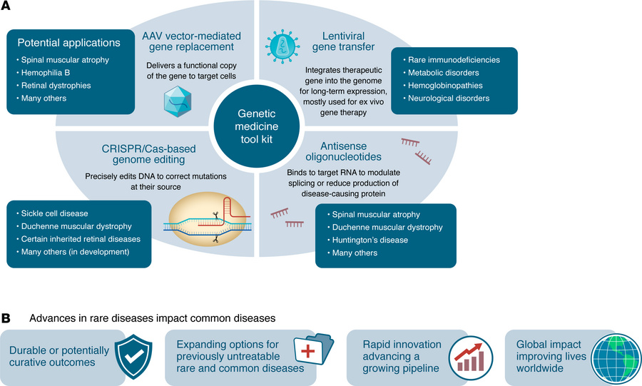 Advancing genetic medicine for treatment of rare diseases.
(A) A brief o...
