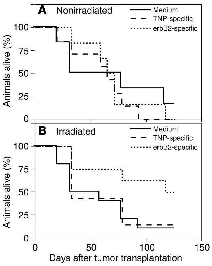 Systemic administration of erbB2-specific human lymphocytes prolongs the...