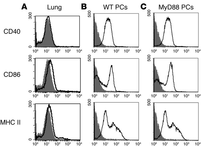 Pulmonary APCs demonstrate low maturational status compared with periton...