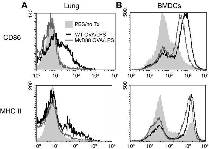 Pulmonary DCs are not activated by LPS in the absence of MyD88 in vivo. ...