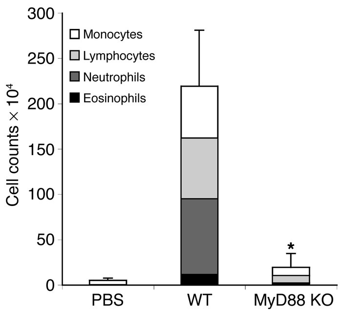 High-dose LPS response is MyD88 dependent. BAL inflammatory cells of WT ...