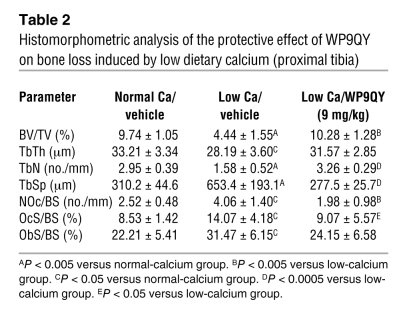 Histomorphometric analysis of the protective effect of WP9QY on bone los...