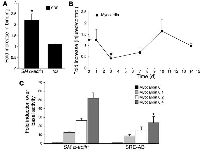 Myocardin can differentially regulate SRF binding to degenerate versus c...
