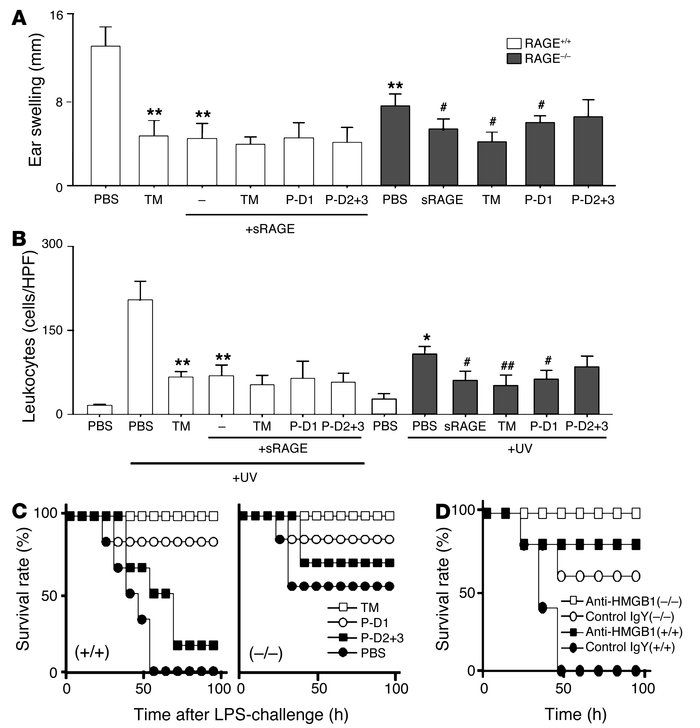 RAGE-dependent and -independent mechanism of HMGB1-mediated events and t...