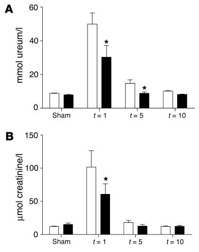 Renal function of TLR2–/– mice (black bars) was improved compared with t...