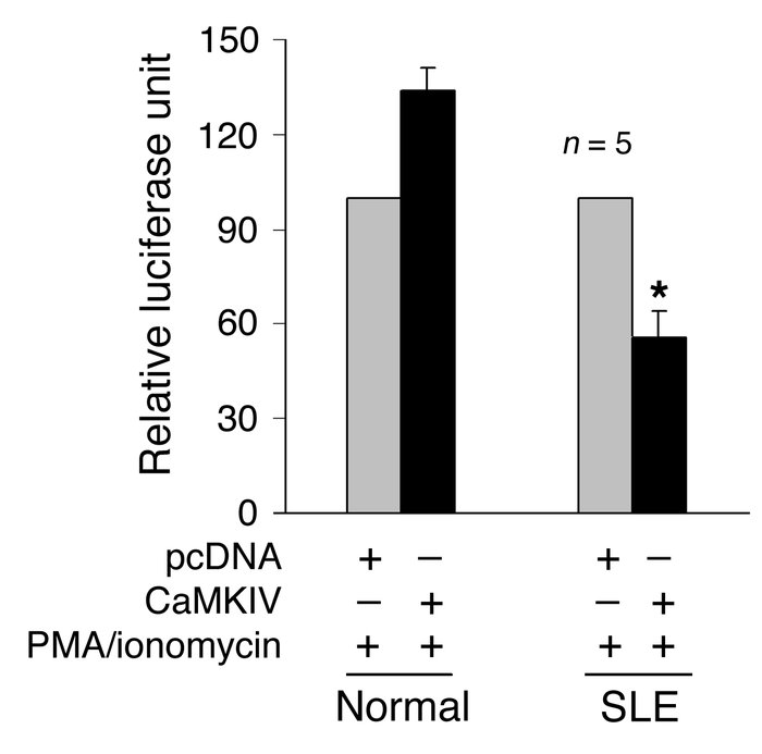 CaMKIV suppresses the –180 site–driven reporter activity in SLE T cells....