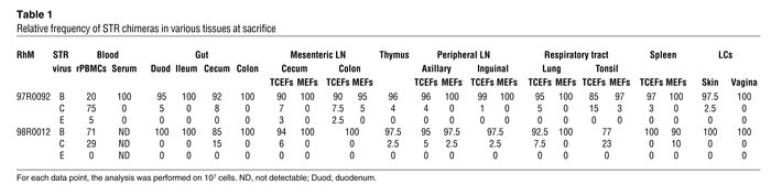 Relative frequency of STR chimeras in various tissues at sacrifice