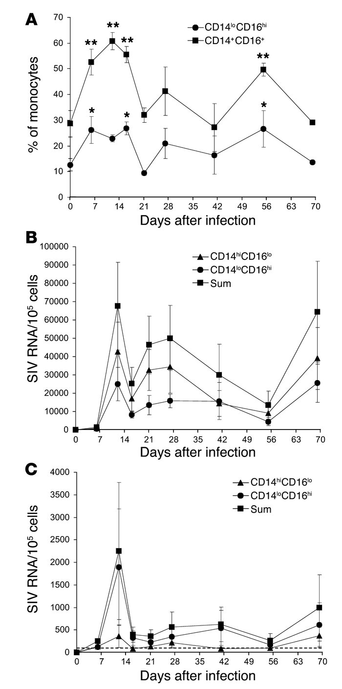 Expansion of monocyte populations following SIV infection and CD8 lympho...