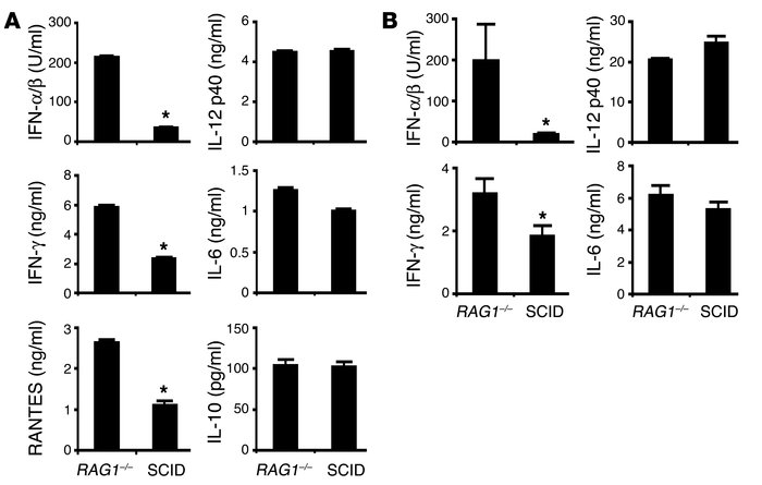 Cytokine production after ISS-ODN stimulation. (A) Splenocytes (106/ml) ...