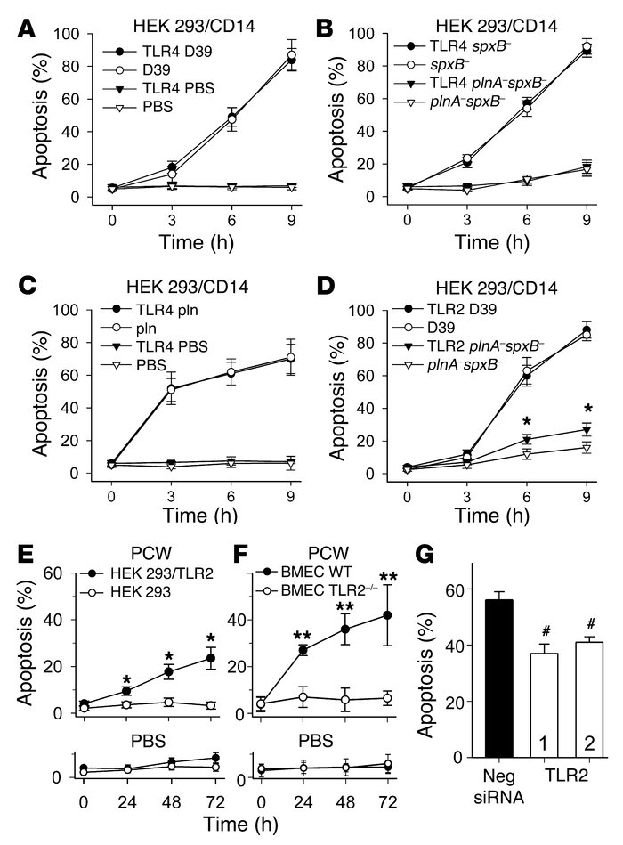 Role of receptors in pneumococcal-induced PCD. (A) Pneumococci (D39) ind...