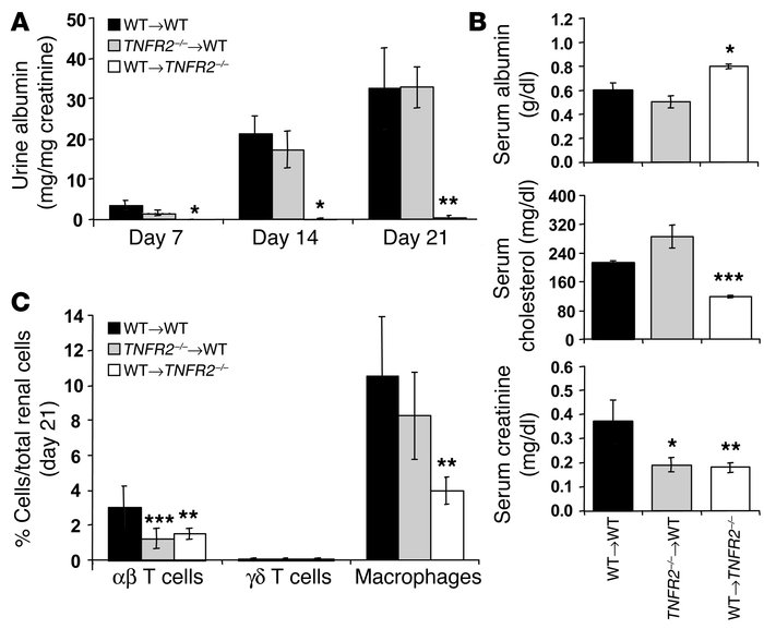 TNFR2 expression by intrinsic renal cells is required for the developmen...