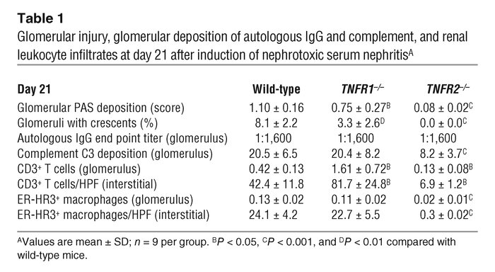 Glomerular injury, glomerular deposition of autologous IgG and complemen...