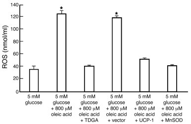 Effect of CPT-I inhibition, UCP-1, and MnSOD on FFA-induced ROS producti...