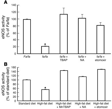 Effect of inhibitors of lipolysis, CPT-1, and ROS on arterial eNOS inact...