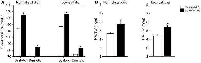 Effect of endothelium-restricted disruption of the GC-A gene on ABP and ...