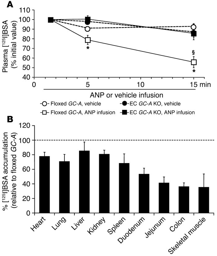 Effect of i.v. ANP (500 ng/kg BW/min, as infusion) on the rate of [125I]...