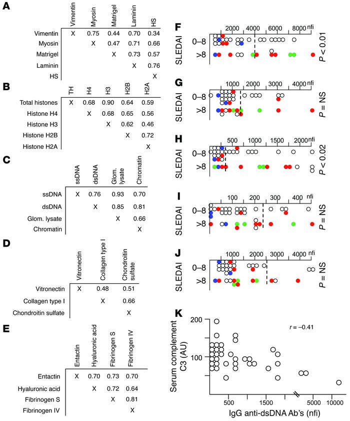 Five distinct clusters of IgG autoreactivity in lupus sera. (A–E) The au...