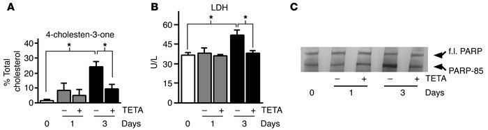 Aβ:Cu2+-induced cholesterol oxidation correlates with toxicity in neuron...