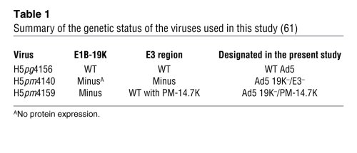 Summary of the genetic status of the viruses used in this study (61)
   ...