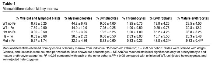 Manual differentials of kidney marrow
