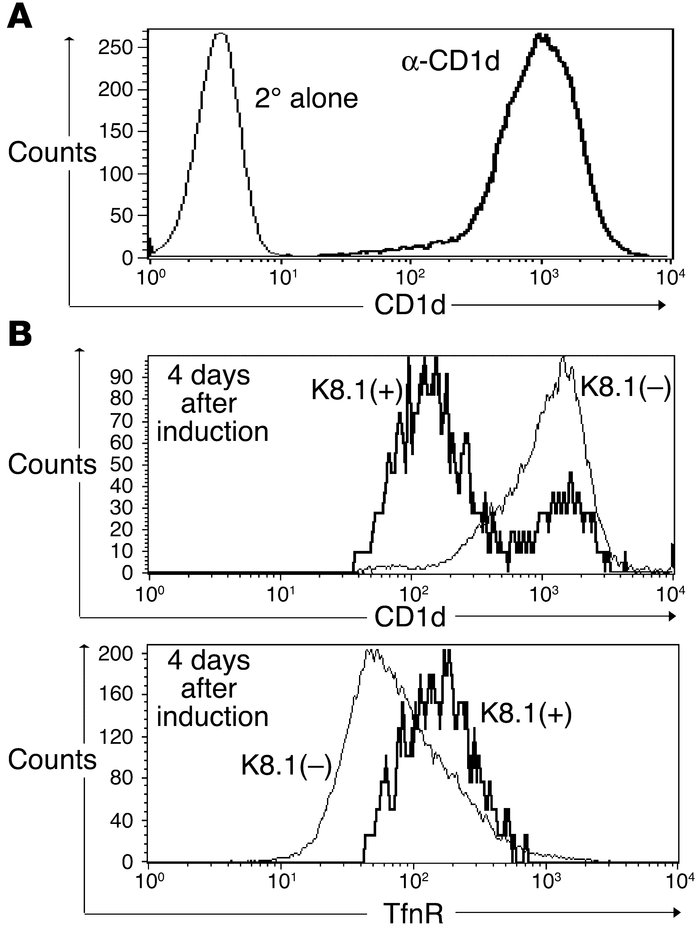 KSHV lytic replication decreases CD1d levels. (A) The levels of CD1d on ...