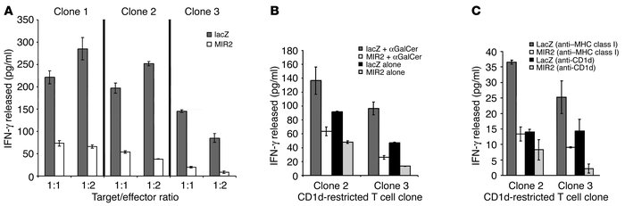 JCI - Regulation of CD1d expression and function by a herpesvirus infection