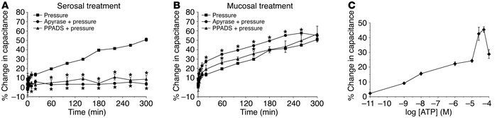 Effects of ATP, apyrase, and PPADS on changes in membrane capacitance. (...